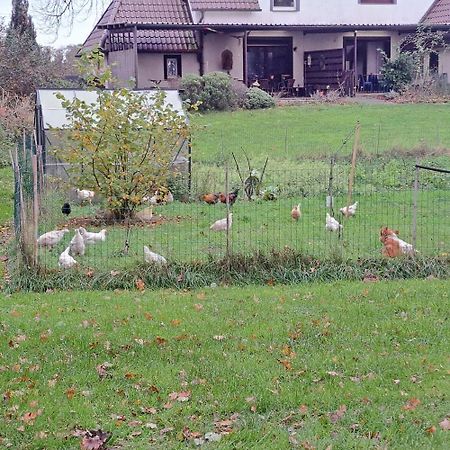 Lovely House In The Countryside By Nordhorn Villa Exteriör bild